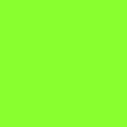 FeetPeople Round Lace Key Chain, Neon Green