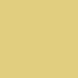 FeetPeople Round Lace Lanyard,Tan