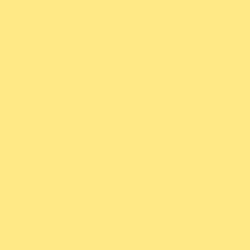 FeetPeople Round Lace Lanyard, Yellow