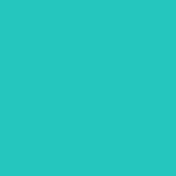 FeetPeople Flat Lace Key Chain, Teal